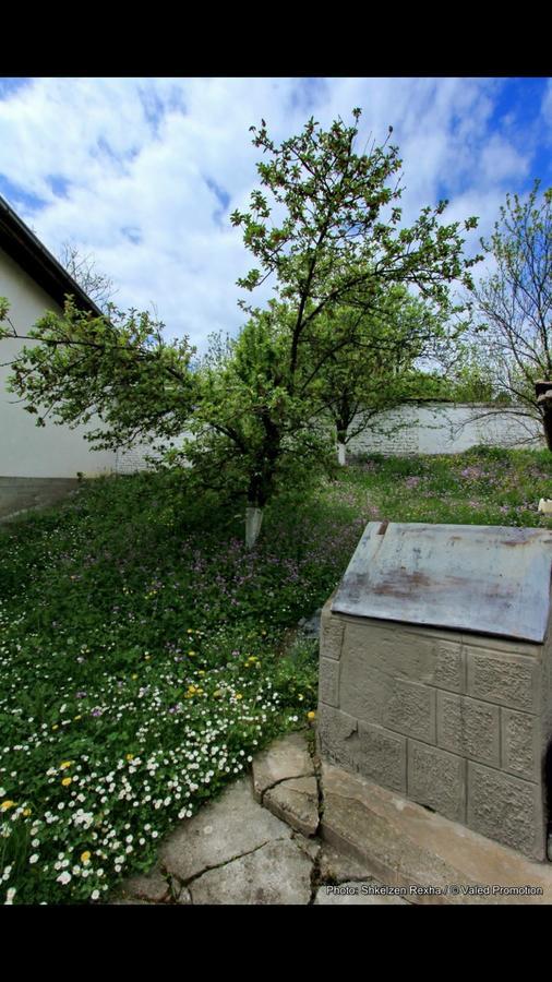 Bujtina Zhaveli Acomodação com café da manhã Gjakova Exterior foto